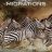 Great Migrations : 1.Sezon 2.Bölüm izle