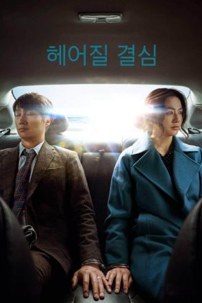 Ayrılma Kararı izle (2022)