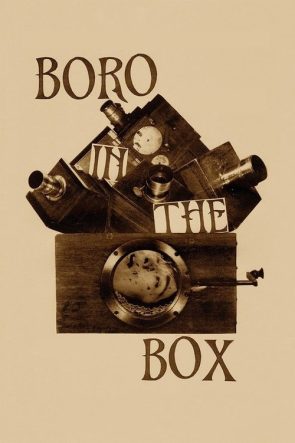 Boro in the Box izle (2014)