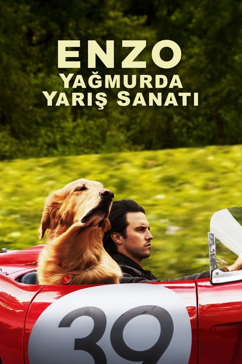 Enzo: Yağmurda Yarış Sanatı izle (2019)
