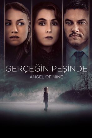 Gerçeğin Peşinde izle (2019)