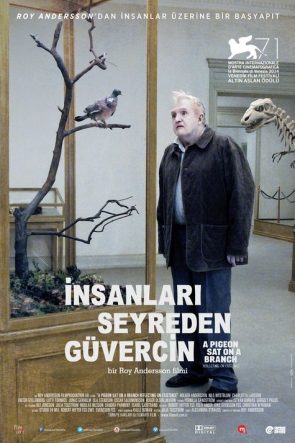 İnsanları Seyreden Güvercin izle (2014)