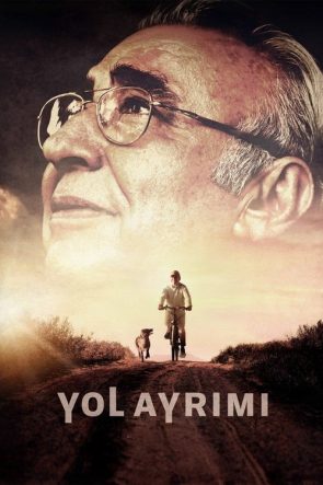 Yol Ayrımı izle (2017)